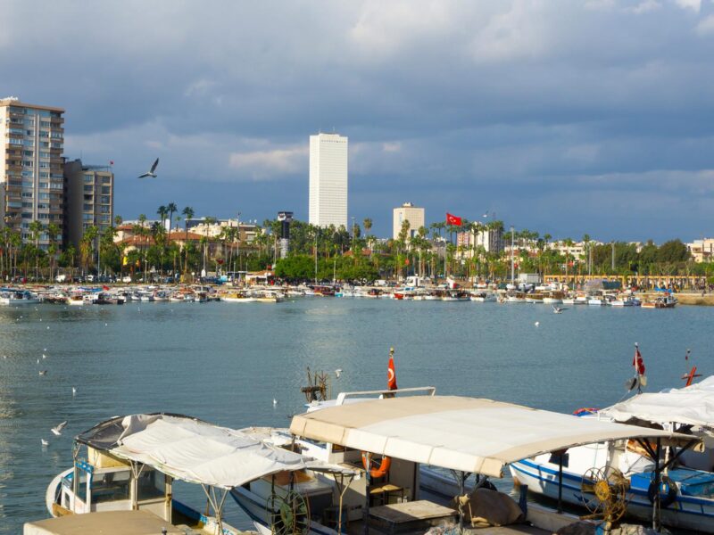 Mersin-tekneler